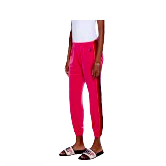 Aviator Nation Pants & Jumpsuits Rare Aviator Nation Classic Velvet Sweat Pants Size Small